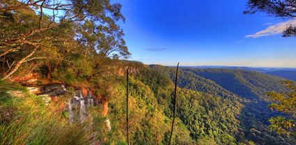 Canyon Lookout - Springbrook National Park - QLD T (PB5D 00 3969)